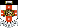 UNSW Sydney Logo